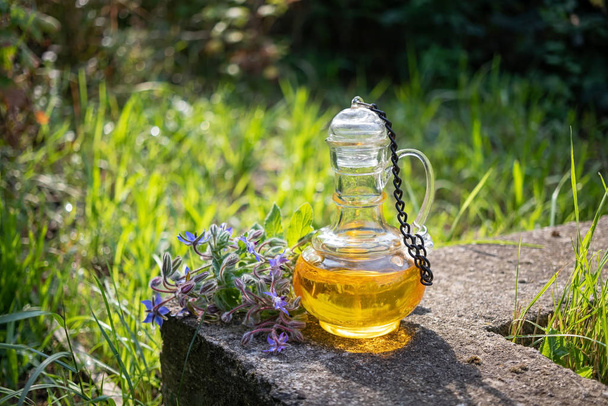 Egy üveg borkőolaj, virágzó borkorral, szabadban - Fotó, kép