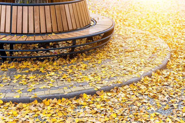 Banco moderno en forma de círculo de madera instalado alrededor del árbol en el parque de la ciudad o calle cubierta de hojas caídas de color amarillo y dorado brillante en otoño. Tranquilo hermoso otoño escena fondo
 - Foto, Imagen