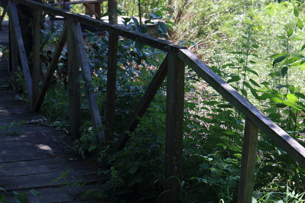 деревянный мост через реку
 - Фото, изображение