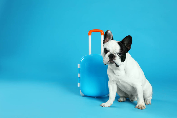 French bulldog with little suitcase on blue background. Space for text - Fotoğraf, Görsel