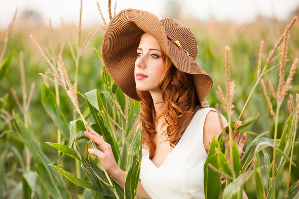 rude dziewczyny w polu kukurydzy - Zdjęcie, obraz