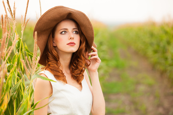 トウモロコシ畑で赤毛の女の子 - 写真・画像