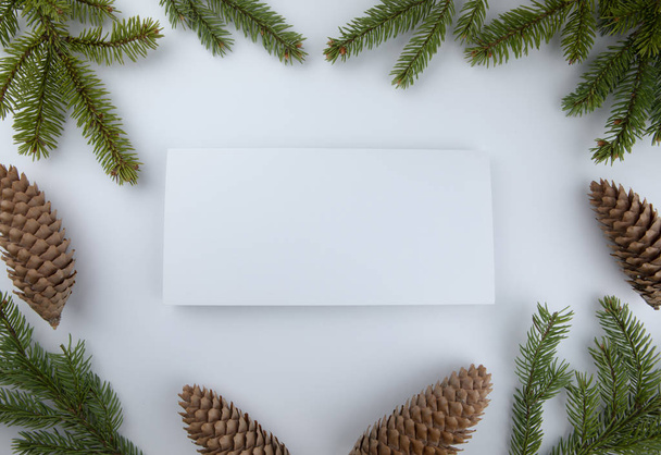 Christmas framework with evergreen fir tree - Photo, image