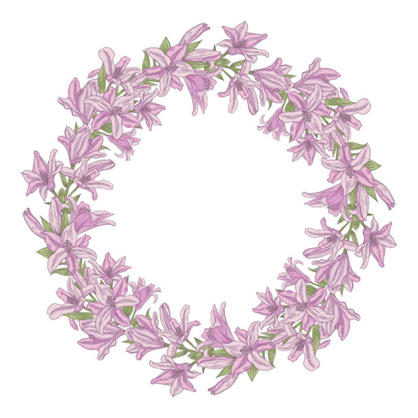 Vector wreath of light pink lily flowers isolated on white - Vektör, Görsel