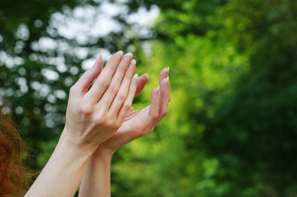 Gesture of begging hands on green background.  - Fotografie, Obrázek