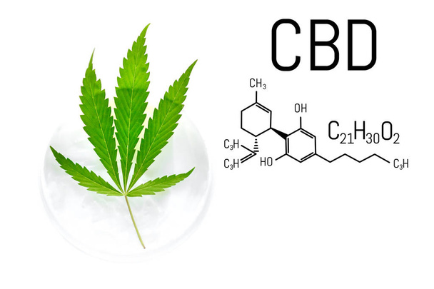 CBD Chemical Formula, CBD Crema di cannabis con marijuana verde le
 - Foto, immagini