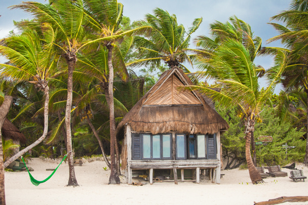 Trooppinen ranta talo valtameren rannalla keskuudessa palmuja
 - Valokuva, kuva