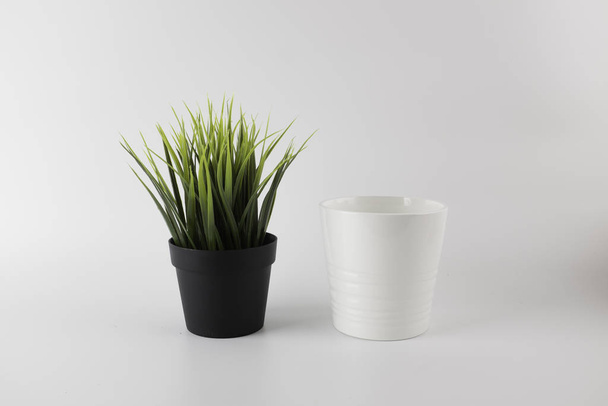 artificial potted plant and white pot over white background - Foto, afbeelding