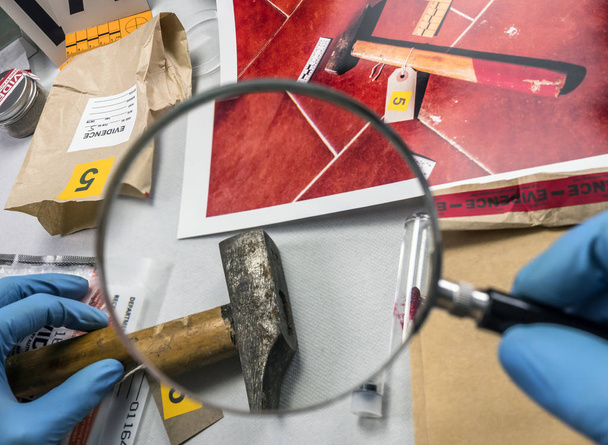 Politiewetenschapper analyseert hamer van plaats delict bij laboratorium criminoloog - Foto, afbeelding