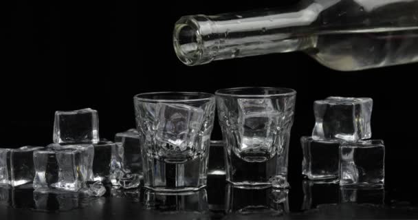 Derramar duas doses de vodka de uma garrafa em vidro. Fundo preto
 - Filmagem, Vídeo
