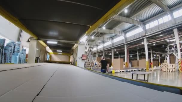 production line transports cardboard under worker control - Footage, Video