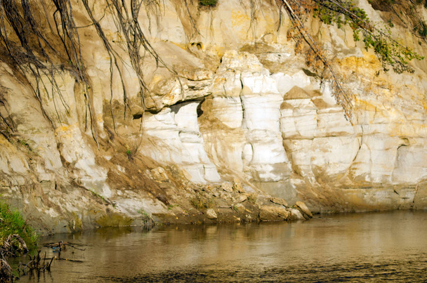 Глиняна Скеля біля води річки з ерозійними типами рельєфу і виступаючими корінням повалений дерев Північного тундри в районі Якутія поблизу. - Фото, зображення