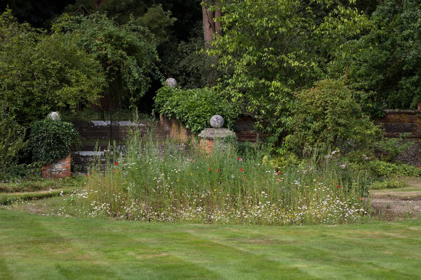Syksyn puutarha kohtaus nurmikon etualalla
 - Valokuva, kuva