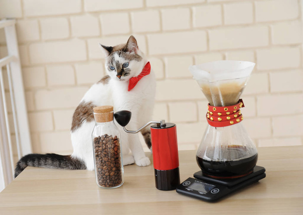 Gato barista. Manual alternativo de fabricação de café à mão. Filtro de lote de gotejamento. Moedor de café vermelho. Escala electrónica
 - Foto, Imagem