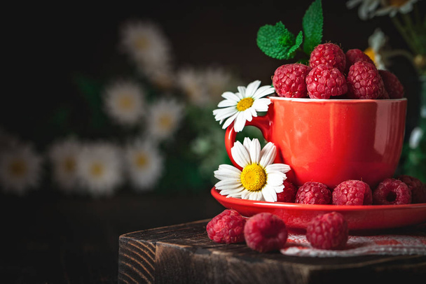 Raspberry in a red cup with chamomile and leaves on a dark background. Summer and healthy food concept. Background with copy space. Selective focus. - Foto, Imagem