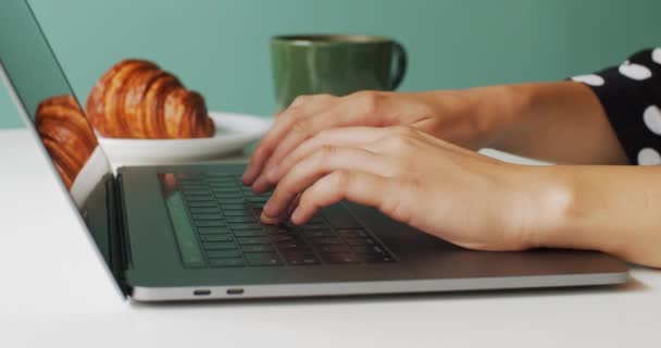 Kadın ellerinin bilgisayarda klavye yazarken makro yan görüntüsü. Kapalı kafede yavaş çekim 4K. Uzaktan kumanda ya da iş için kişisel bilgisayar kullanan yüzü olmayan kadın. Sosyal ağlar iletişimi - Video, Çekim