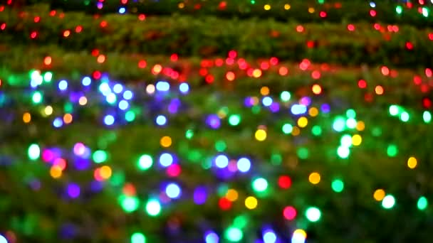blur rainbow color light decoration on tree in the night garden - Footage, Video