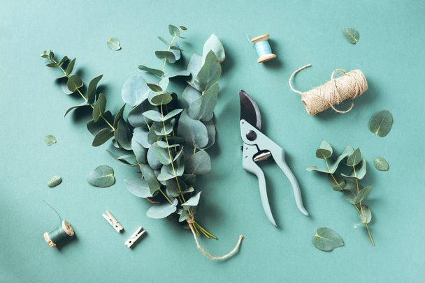 Eucalyptus bouquet creating with baby blue eucalyptus branches over green background. Florist work concept. Top view. Flat lay. - Foto, Bild