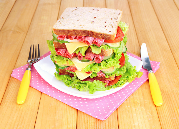 Huge sandwich - Valokuva, kuva
