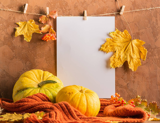Empty white sheet of paper dry leaves hanging on clothespins with pumpkin scarf brown background. Autumn postcard - Photo, Image