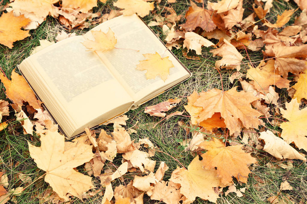 Opened book with dry autumn leafs - Foto, Imagen