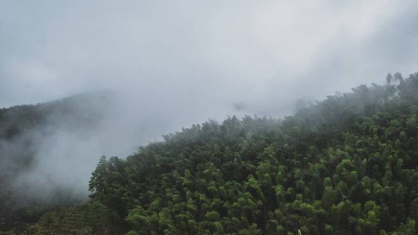 Όρος μινγκγιούμα, Κίνα - Φωτογραφία, εικόνα