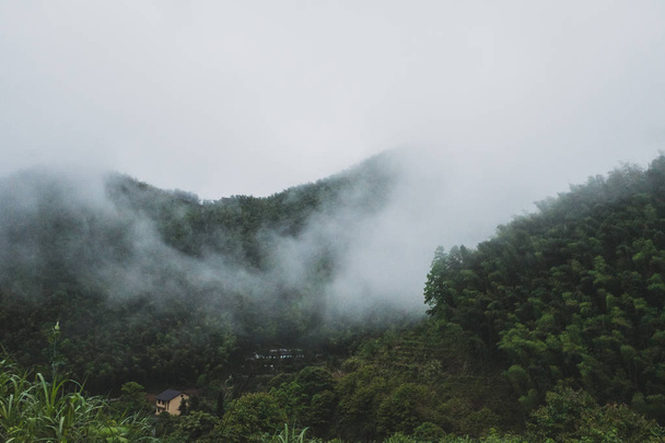 Όρος μινγκγιούμα, Κίνα - Φωτογραφία, εικόνα