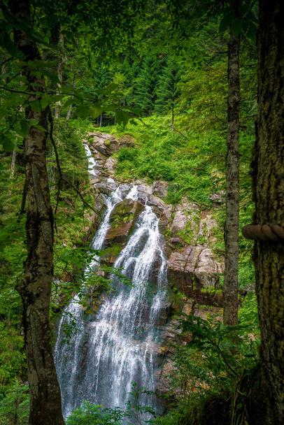 Mountain river waterfall landscape. Waterfall river - Φωτογραφία, εικόνα