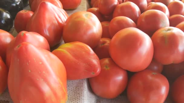 地元の市場での販売のためのテーブル上の赤い有機トマトの眺め. - 映像、動画