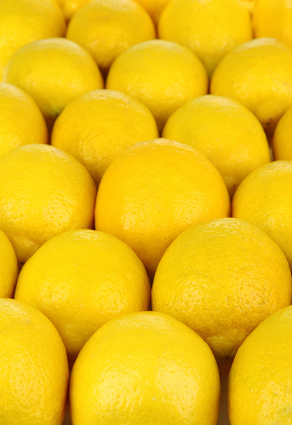 Ripe lemons close-up - Foto, imagen