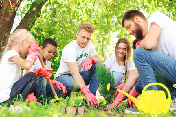 Volontari piantare alberi nel parco
 - Foto, immagini