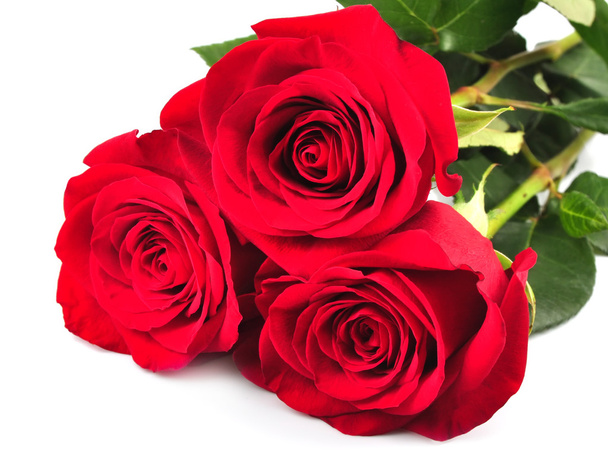 Un ramo de rosas rojas
 - Foto, Imagen