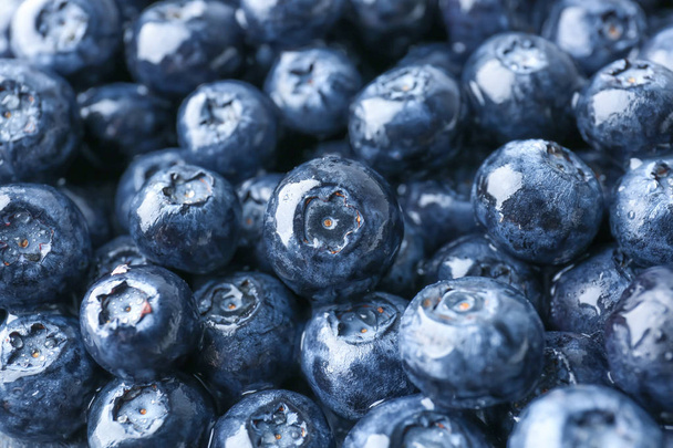 Many ripe blueberry as background - Фото, изображение