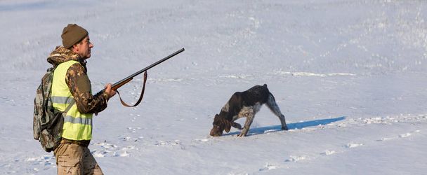 Hunter egy pisztollyal és egy kutya megy az első hó a sztyeppén, vadászat fácán egy tükröződő mellény - Fotó, kép