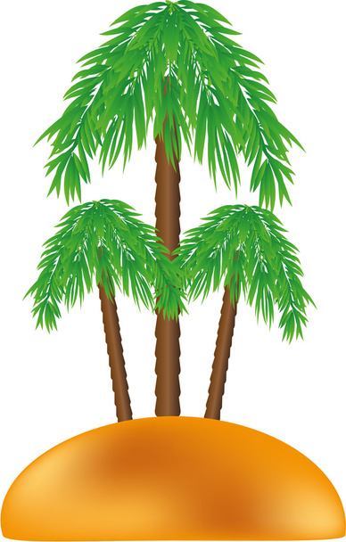Palm a szigeten - Vektor, kép