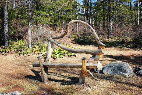 Unusual bench in the forest - Photo, Image