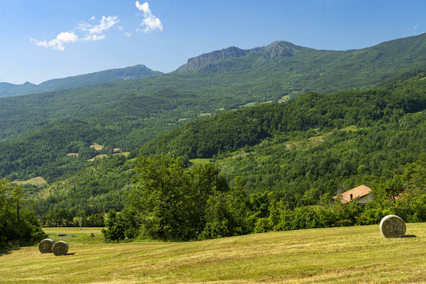 Estrada para Prato Barbieri, paisagem de Appennino
 - Foto, Imagem