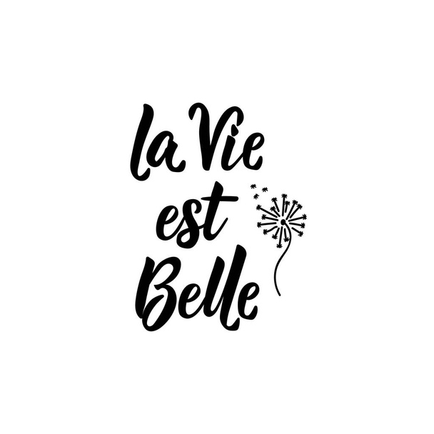 Vertaling uit het Frans: het leven is prachtig. Vector illustratie. Letters. Inkt illustratie. La vie est Belle. - Vector, afbeelding