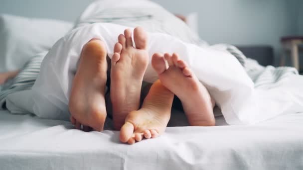 Mans and womans feet moving under blanket caressing touching in bed - Video, Çekim