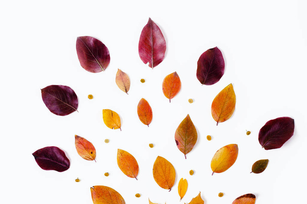 Осенняя композиция ярких красных и желтых листьев на белом фоне. Плоский трехмерный фон с видом сверху
. - Фото, изображение
