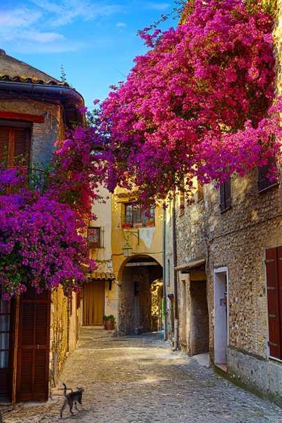 art beautiful old town of Provence - Photo, Image