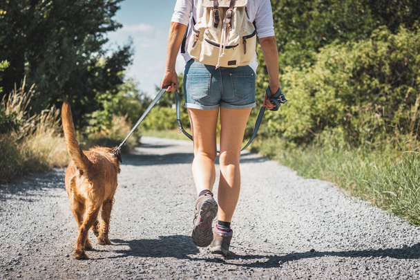 Γυναίκα και σκυλί μαζί περπατούν σε χωματόδρομο. Γυναικείος τουρίστας με σακίδιο και ανάμεικτα σκύλους σε εξωτερικούς χώρους το καλοκαίρι.  - Φωτογραφία, εικόνα