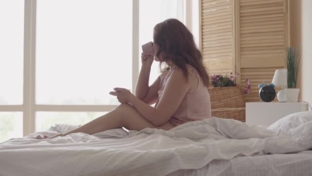 Cute mature woman drinking tea or coffee sitting in bed in the morning. Smiling lady relaxing at home. Sun shines on her from the big window. Happy caucasian woman greets new day. - Séquence, vidéo