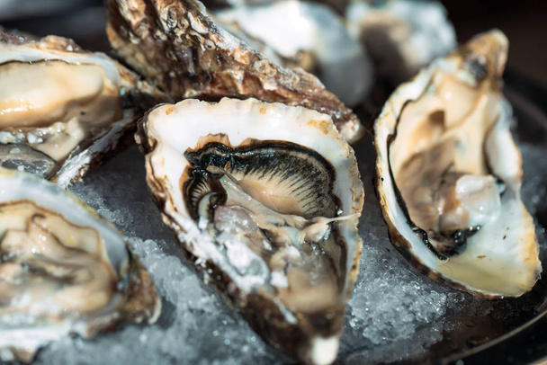 Oysters on the black plate on wooden background. - Foto, afbeelding