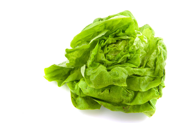 Butterhead lettuce - Zdjęcie, obraz