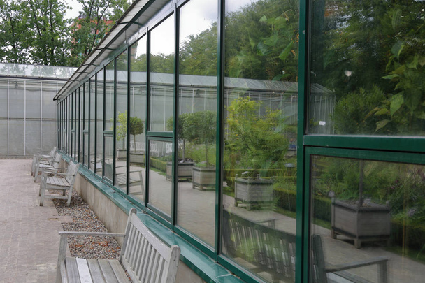 Glass facade of the greenhouse for tropical plants - Photo, Image