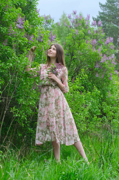 beautiful girl in a blooming Park - Foto, Imagem