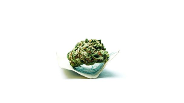 Kannabisz Bud a dollárban elkülönített bankjegy fehér alapon - Fotó, kép