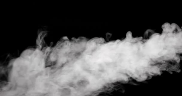 黒い背景に隔離された白い煙の道 - 映像、動画