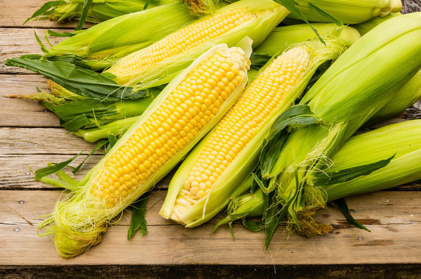 Ears of fresh yellow sweet corn - Фото, зображення